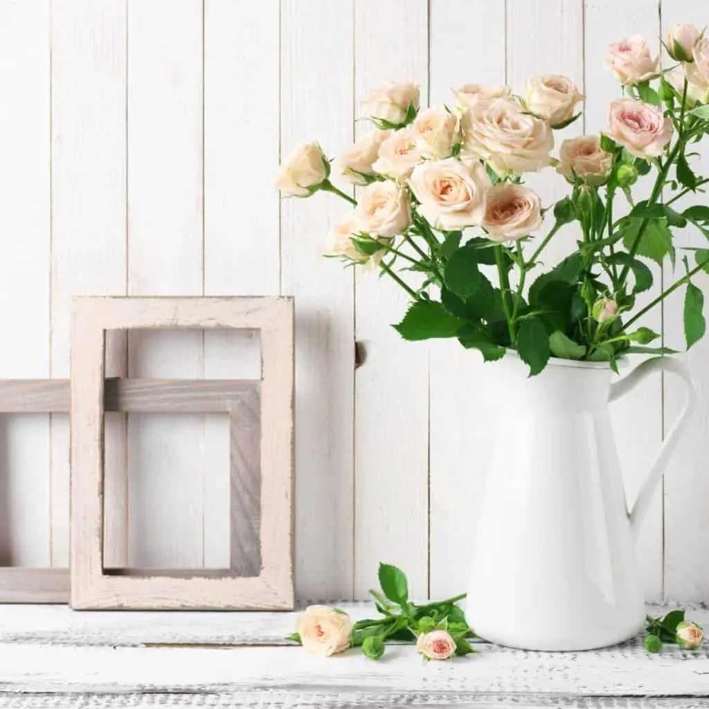 Some light pink roses in a white pitcher next to 2 empty wood frames. These are sitting in front of a white shiplap wall.