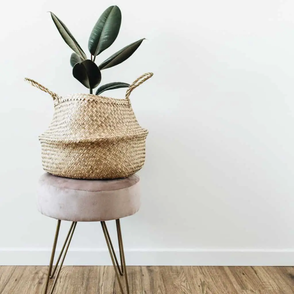 An indoor plant inside a woven basket sitting on top of a taupe footstool which is in front of a white wall.