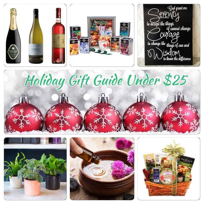 Holiday Gift Guide Under $25