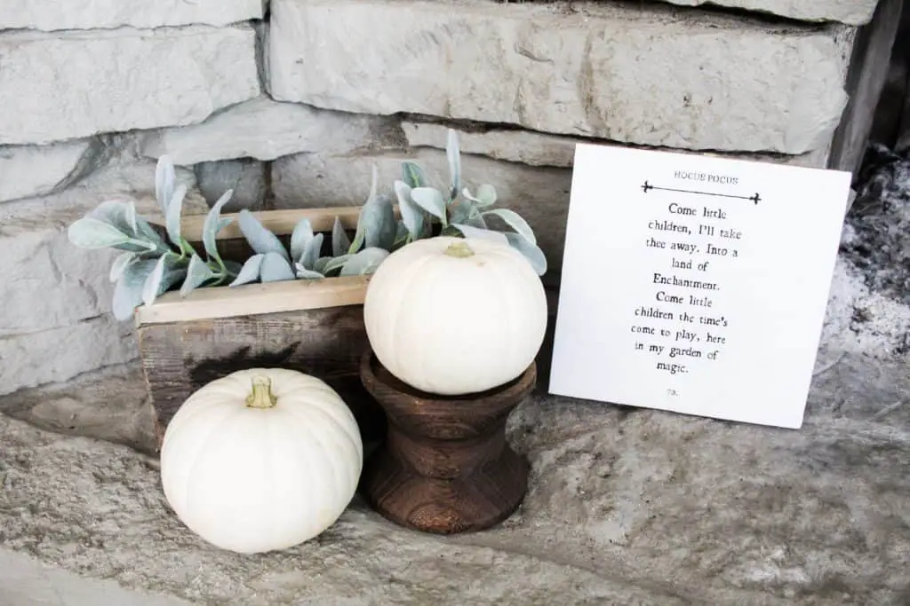 This upcycled Hocus Pocus sign is a DIY project I made from a thrifted wood sign. It pairs well with these white pumpkins, wood accents, and some lambs ear greenery.