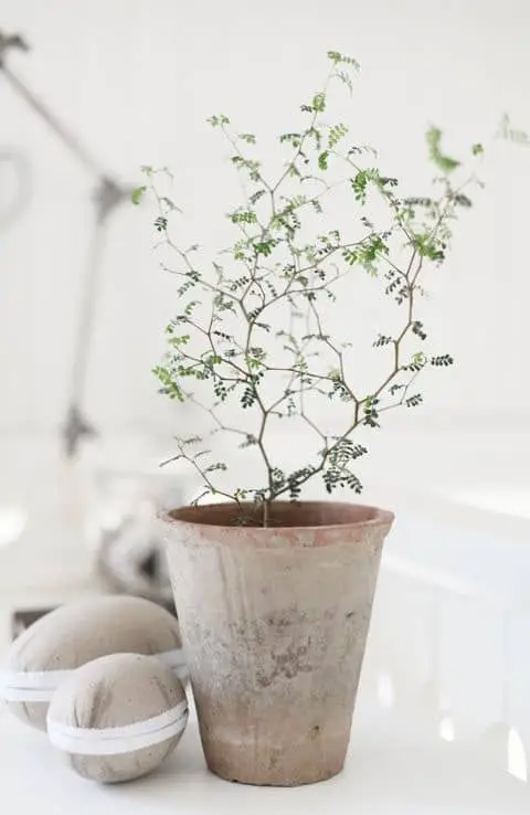 These simple home decorating tips are all you need to have you decorating like an interior designer. Add some indoor plants in different kinds of baskets or pottery to bring in some texture and life.