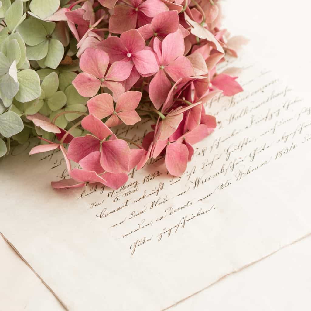 Image shows a handwritten letter and pink and green hydrangeas.