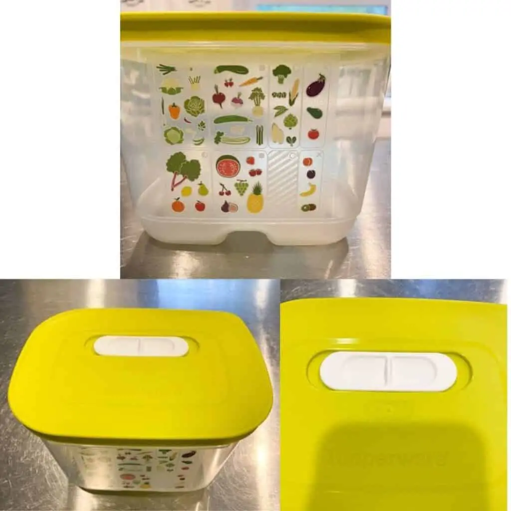 The FridgeSmart Small Deep produce container is another must have Tupperware product. The bin has a green lid with a special venting system on top that is all the way opened, all the way closed, or half way. On the front of the container is an assortment of fruits and vegetables that tell you which venting setting to use for each type of produce.