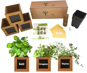 This indoor herb garden makes a great gift for her. It includes 2 wood boxes with chalkboard fronts to write the names of the herbs, the example shows basil, oregano, and thyme. There is also 2 plastic planters, seeds, instructions, and chalk.